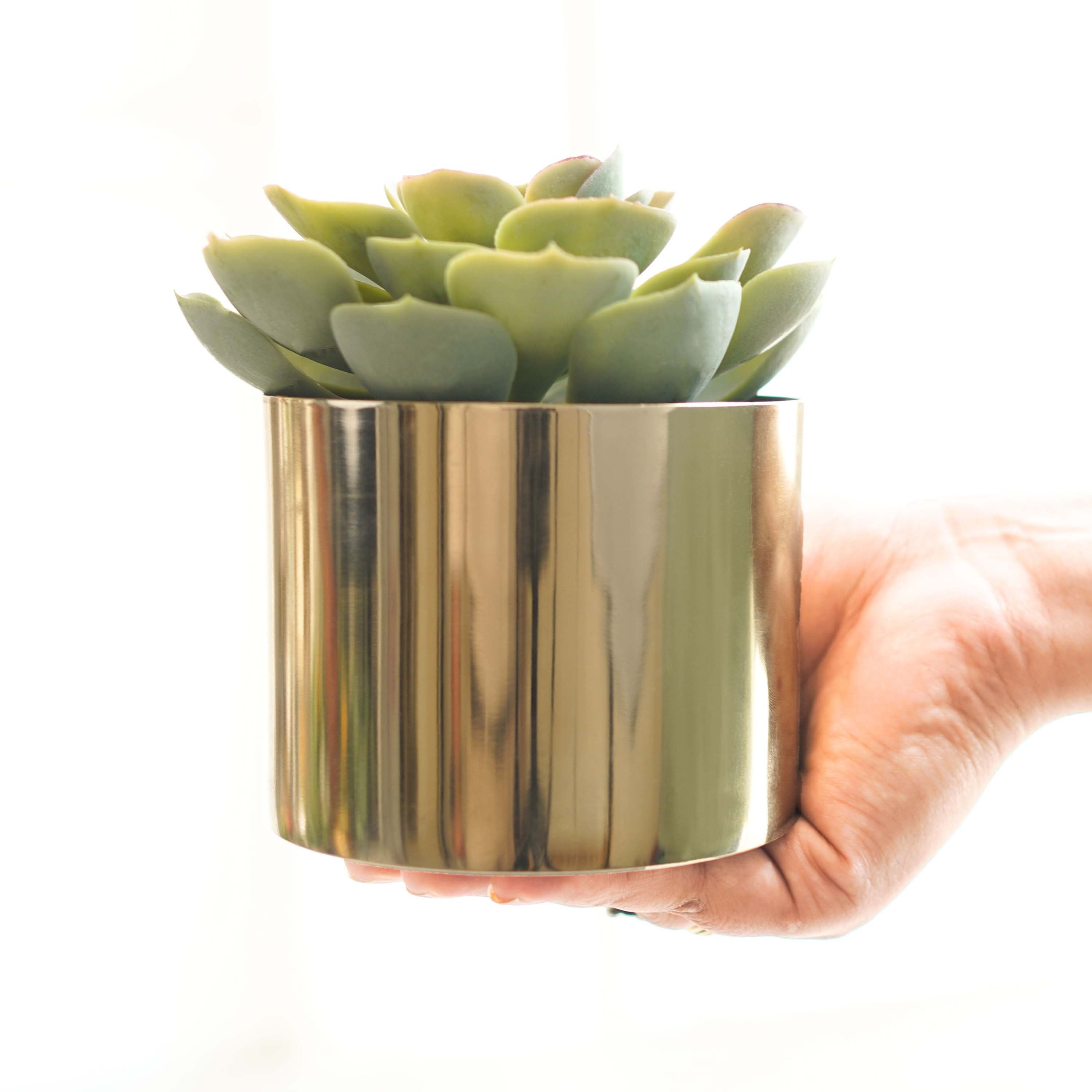 Mini Table-top Metal Planter, Set (Pot Only)