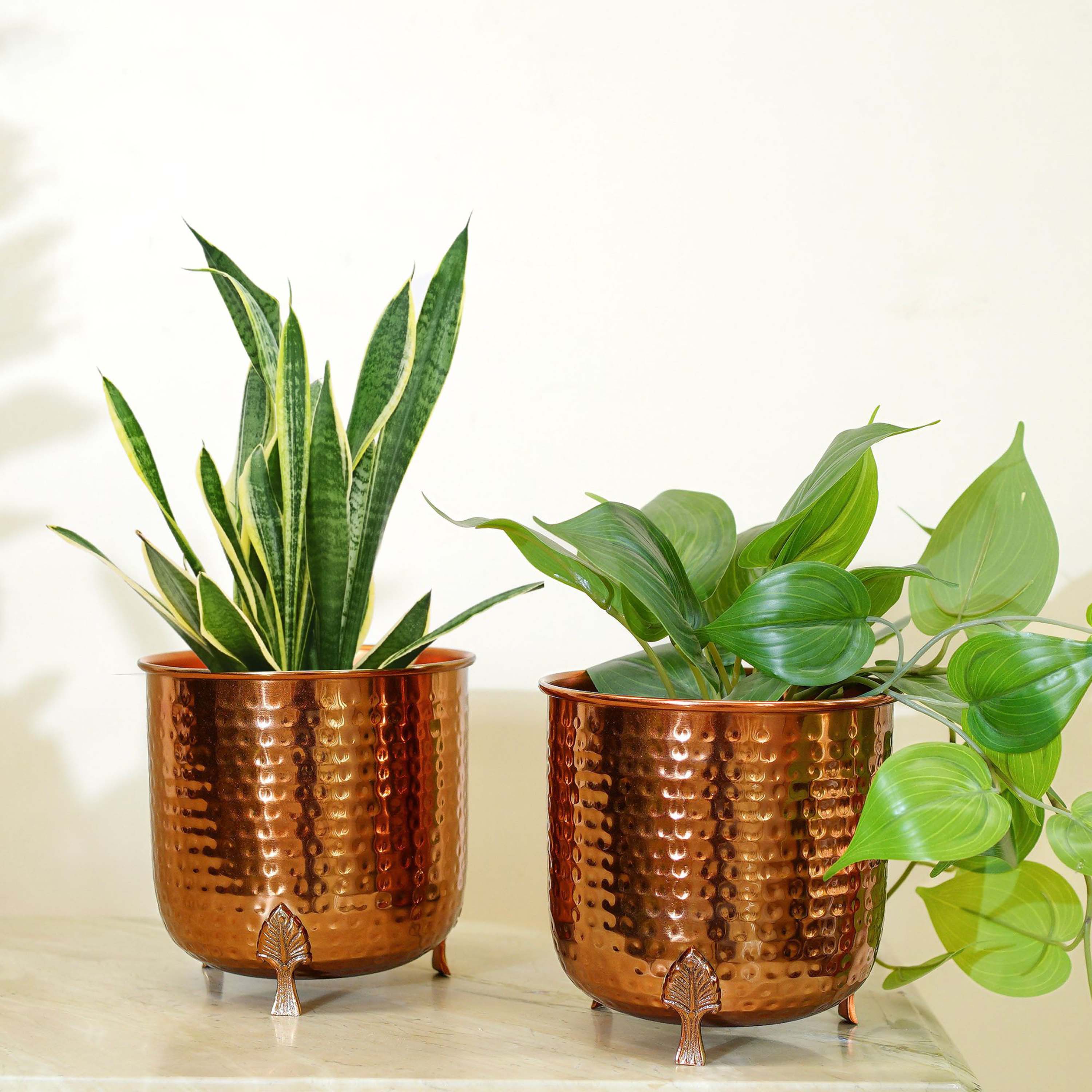 Leaf Leg Planter Set, Copper (Pot Only)