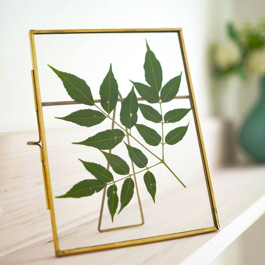 Floating frame, glass photo frame, gifts for her, anniversary gifts, gifts for mom