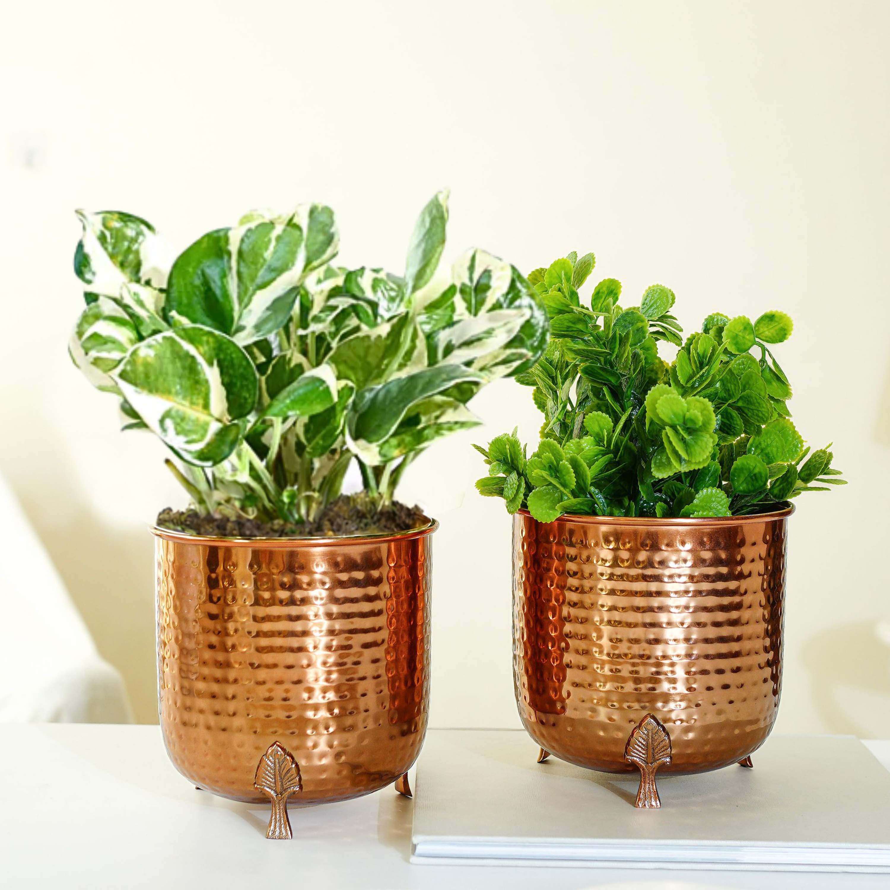 Leaf Leg Planter Set, Copper (Pot Only)
