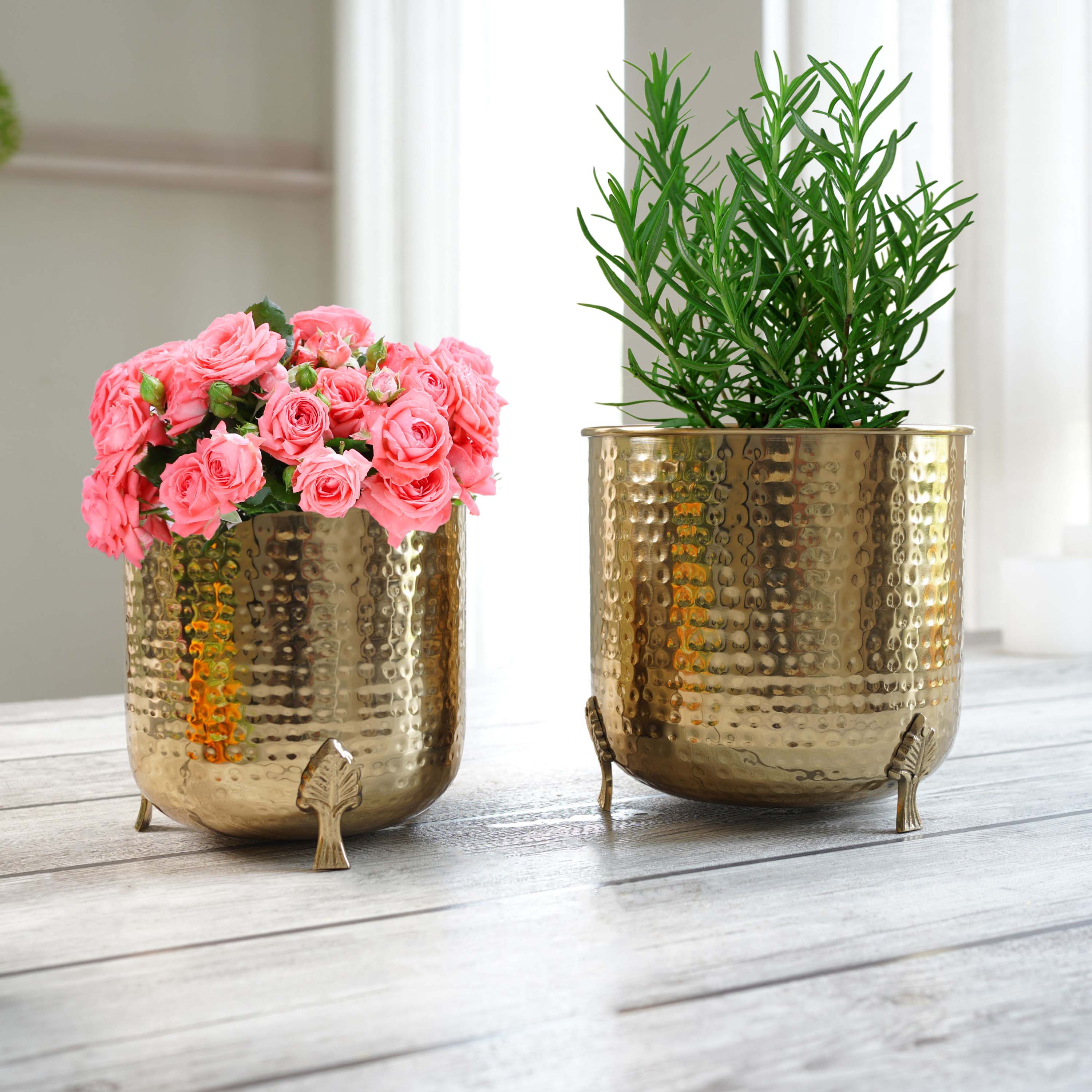 Leaf leg Metal Planter, Set (Pot Only)