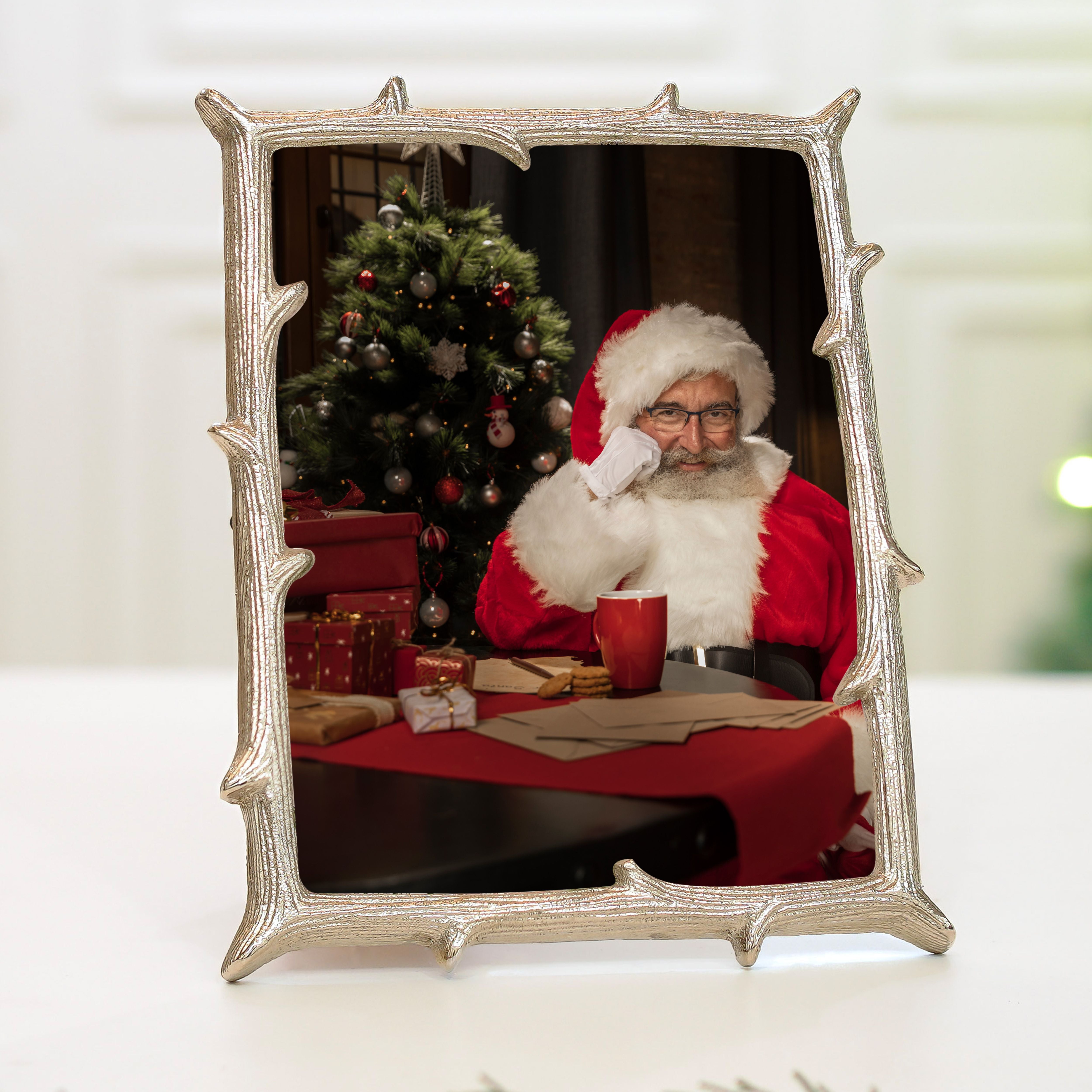 Metal Twig Frame, Silver - (6x8)