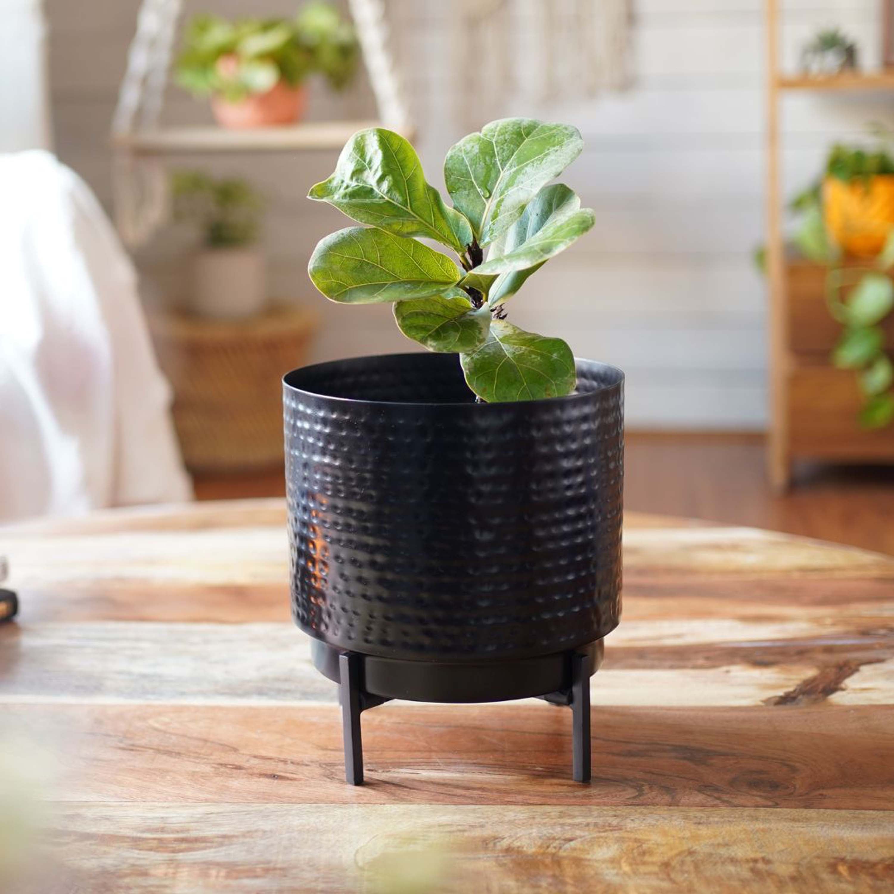 Hammered Metal Planter, Large (Planter Only)