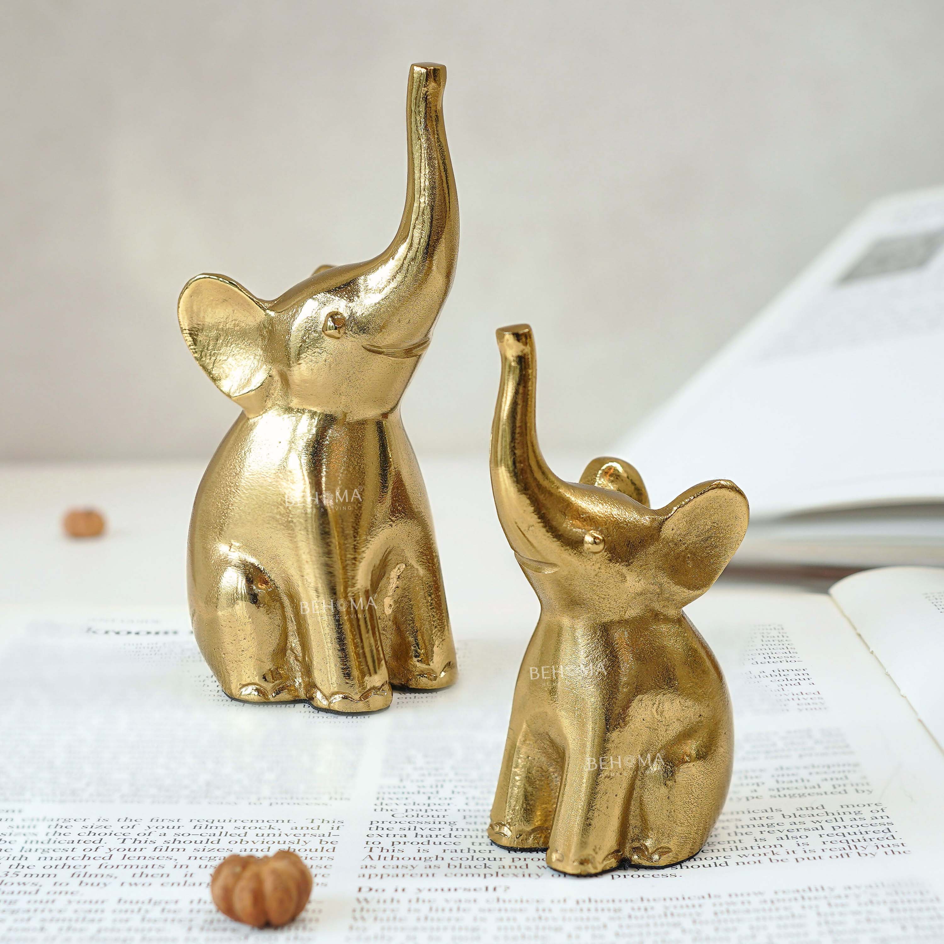 Elephant Set of 2