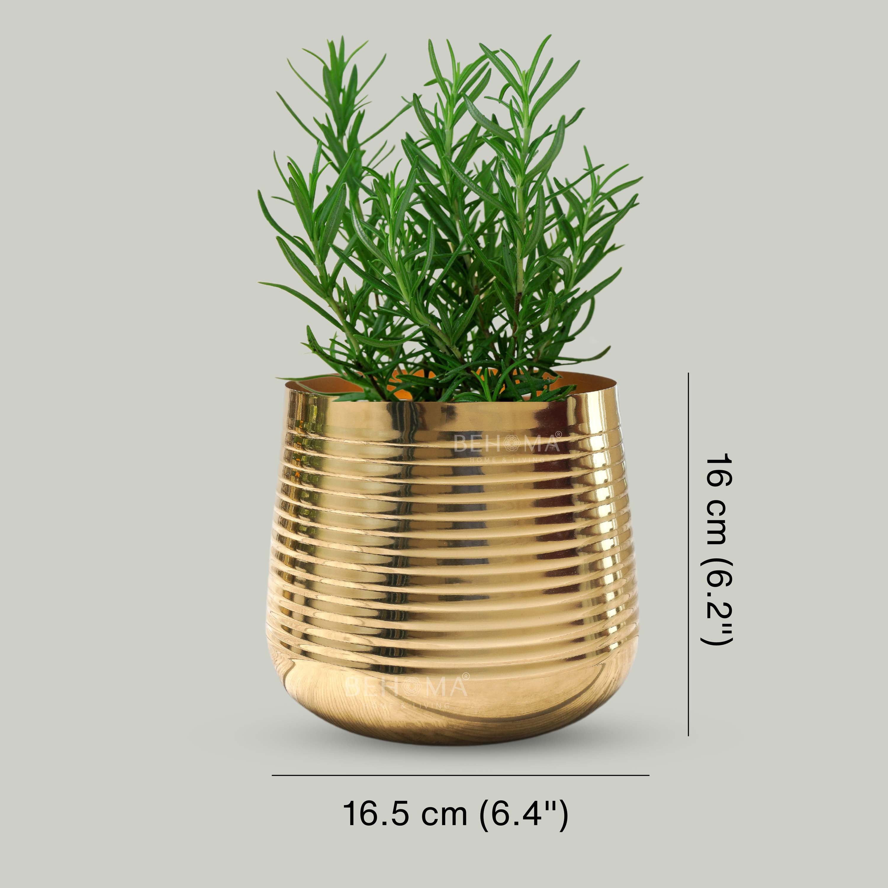 Metal Ribbed Planter, Large (Pot Only)