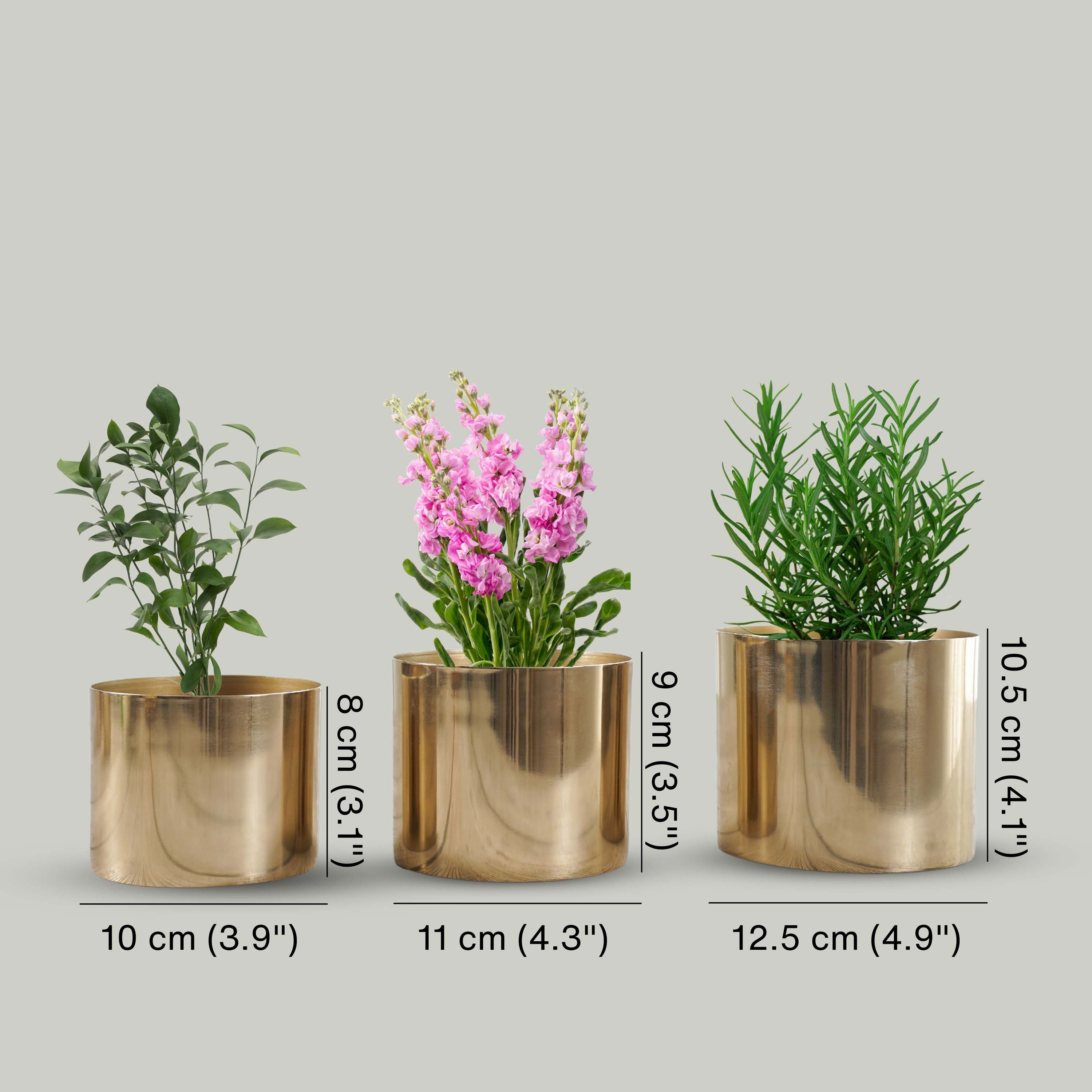 Mini Table-top Metal Planter, Set (Pot Only)