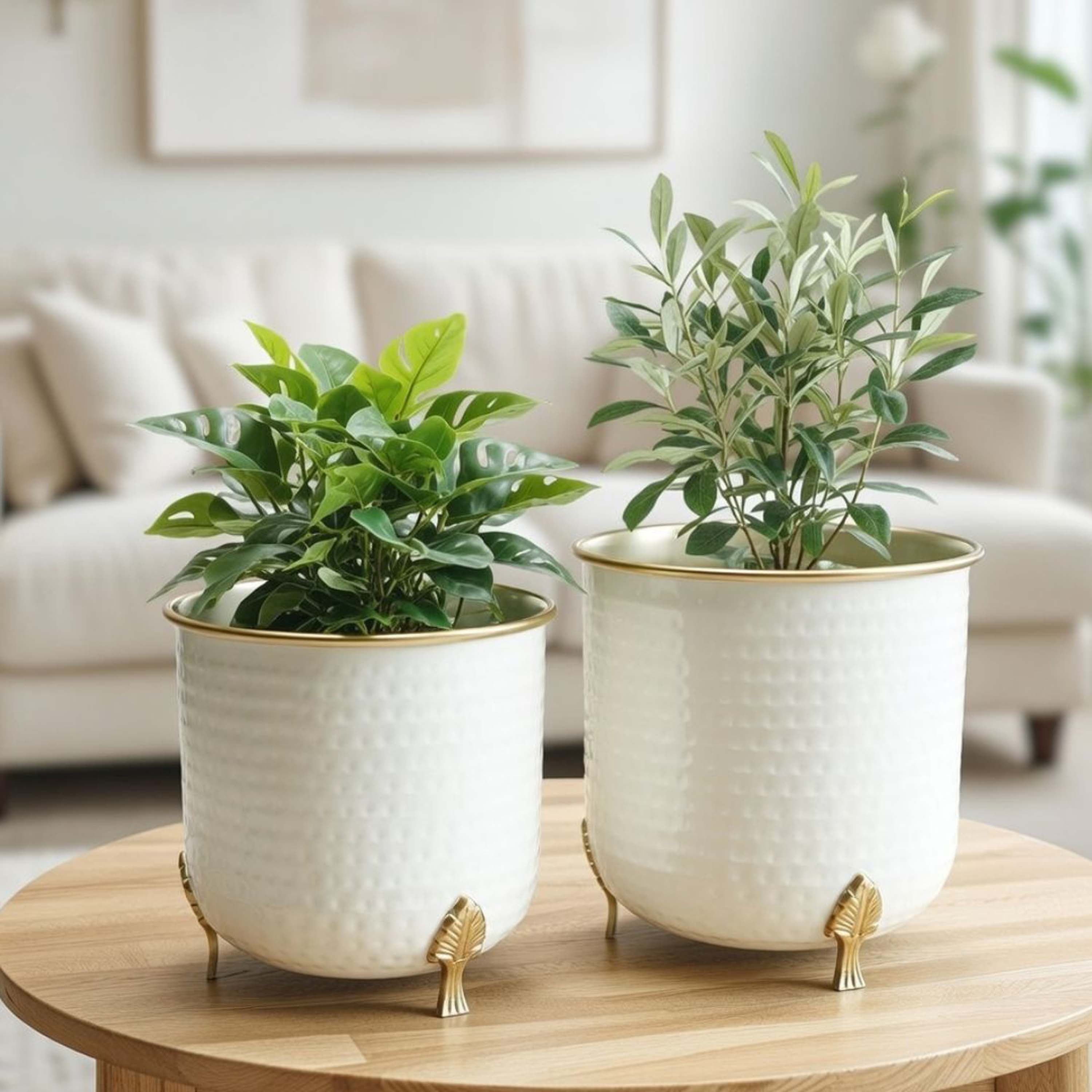 Gold Rim Leaf leg Metal Planter Set (Pot Only)