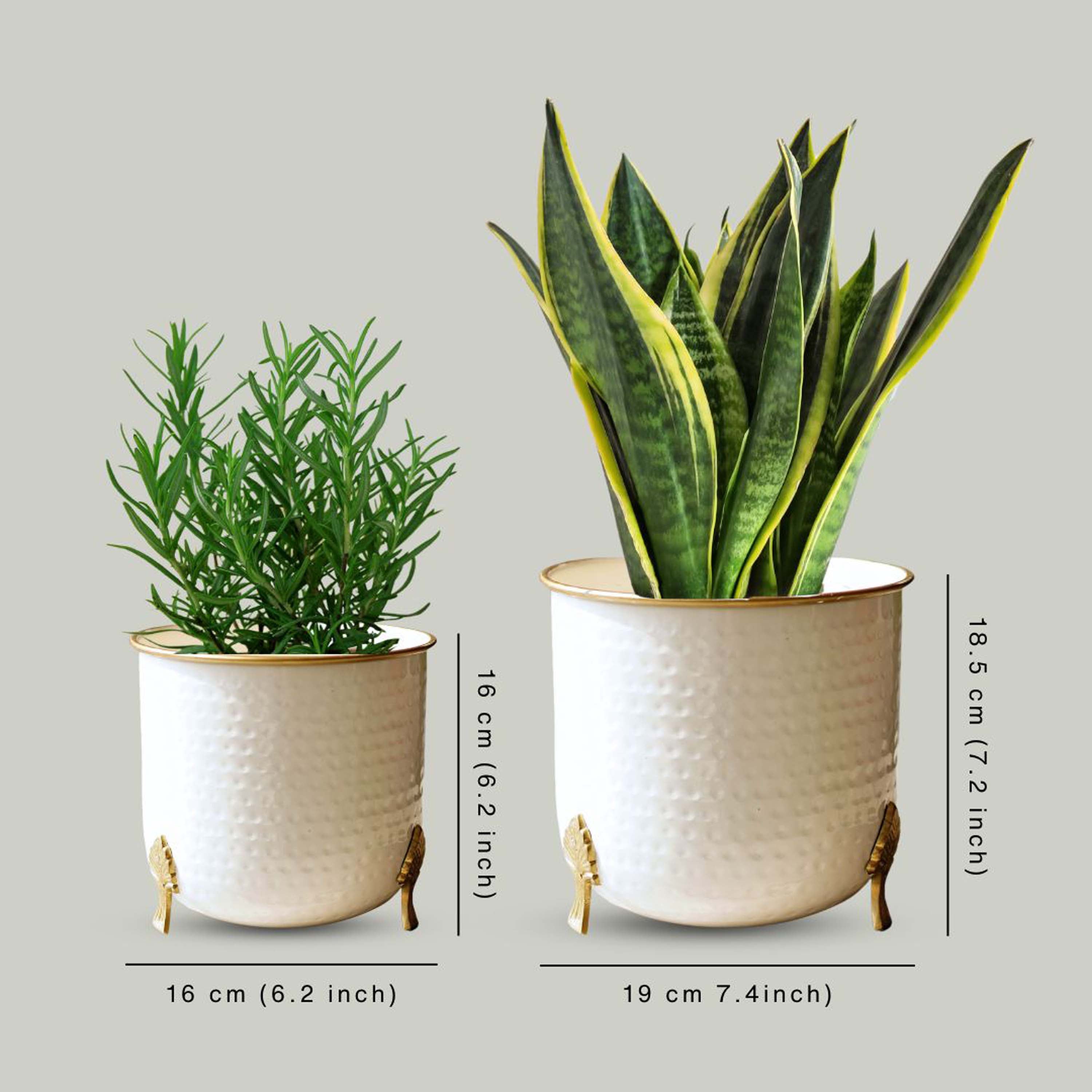 Gold Rim Leaf leg Metal Planter Set (Pot Only)