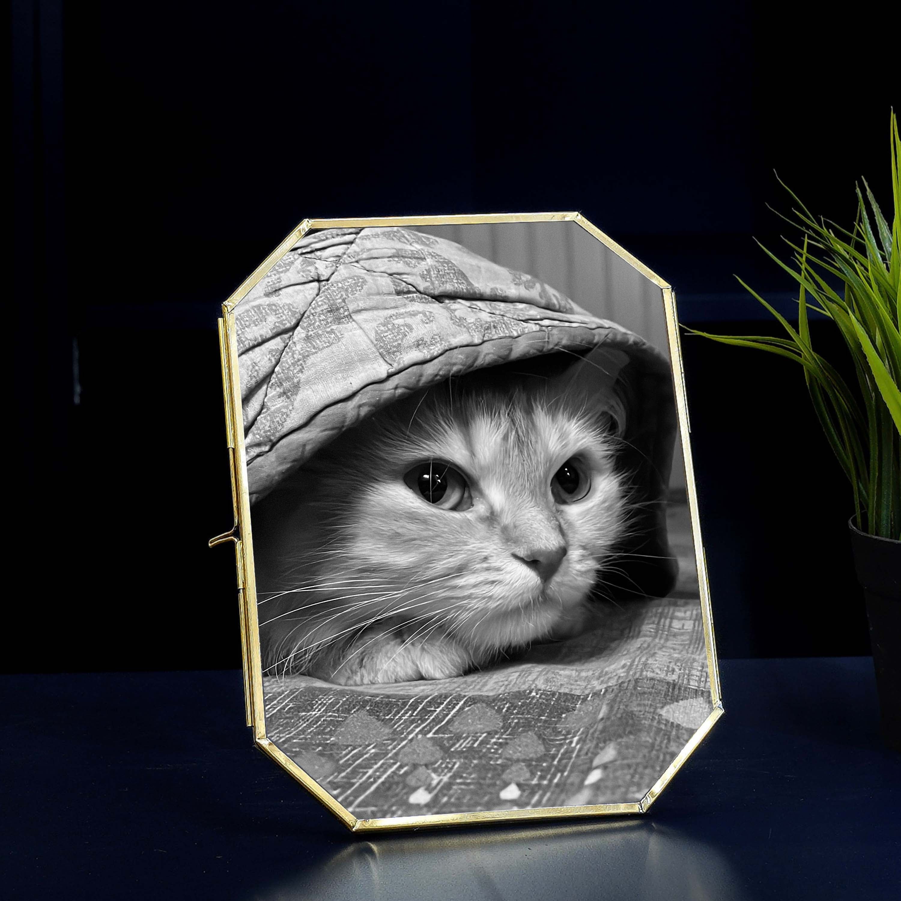 Octagon Glass Table-top Frame (6x8)