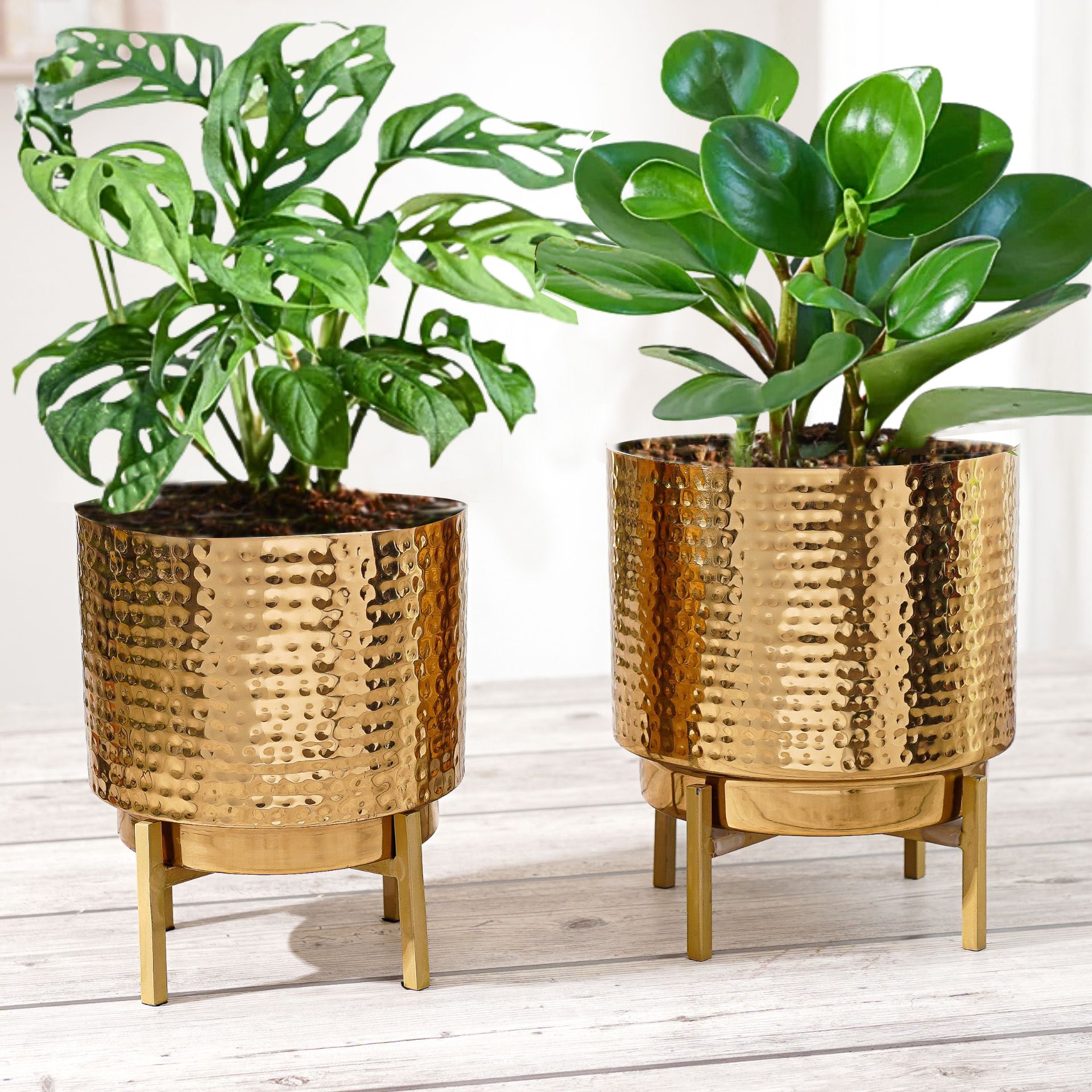 Golden Metal Planter Set