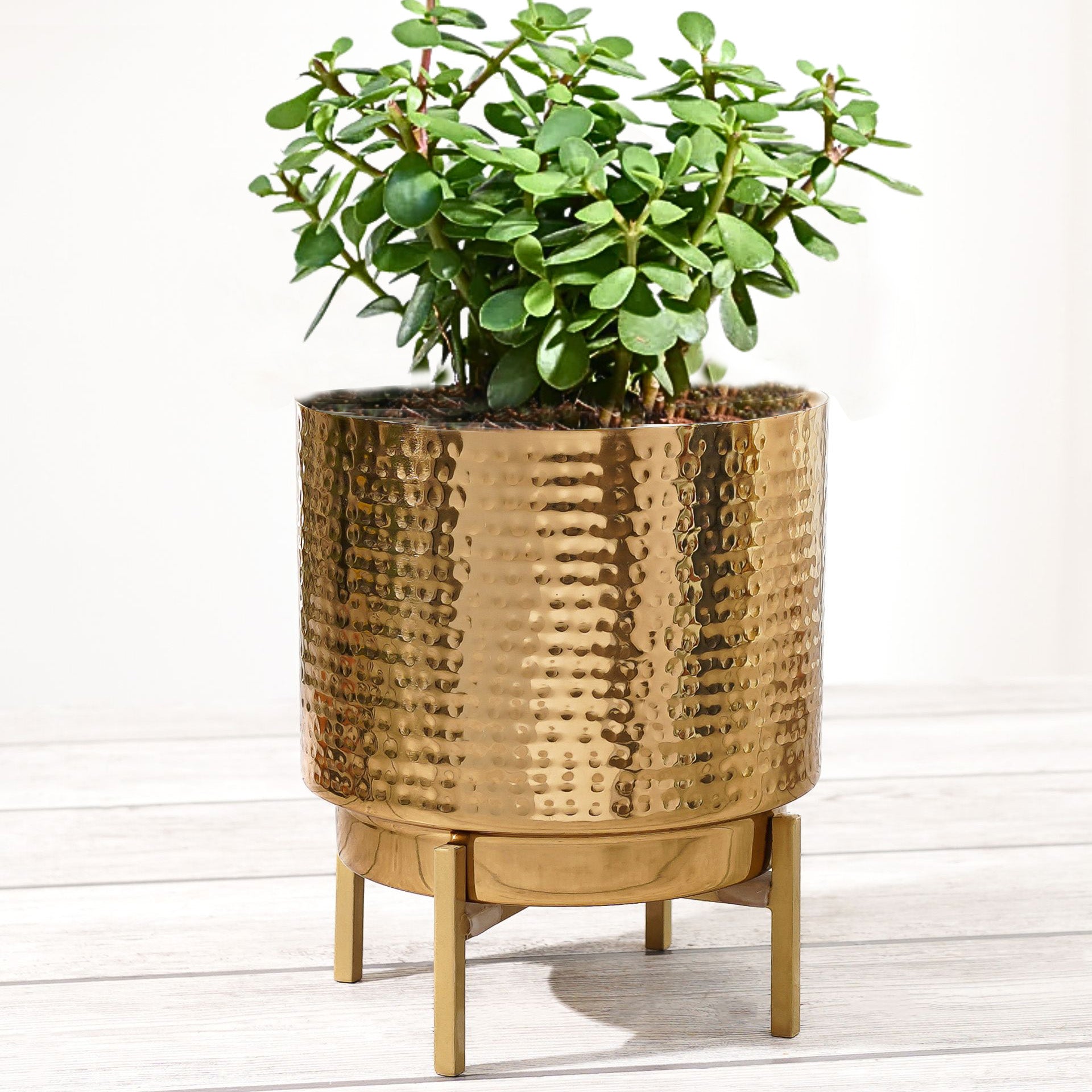 Elegance Metal Planter, Large - Behoma