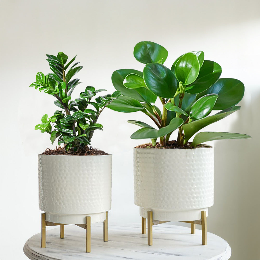 Hammered Indoor Planter, Set