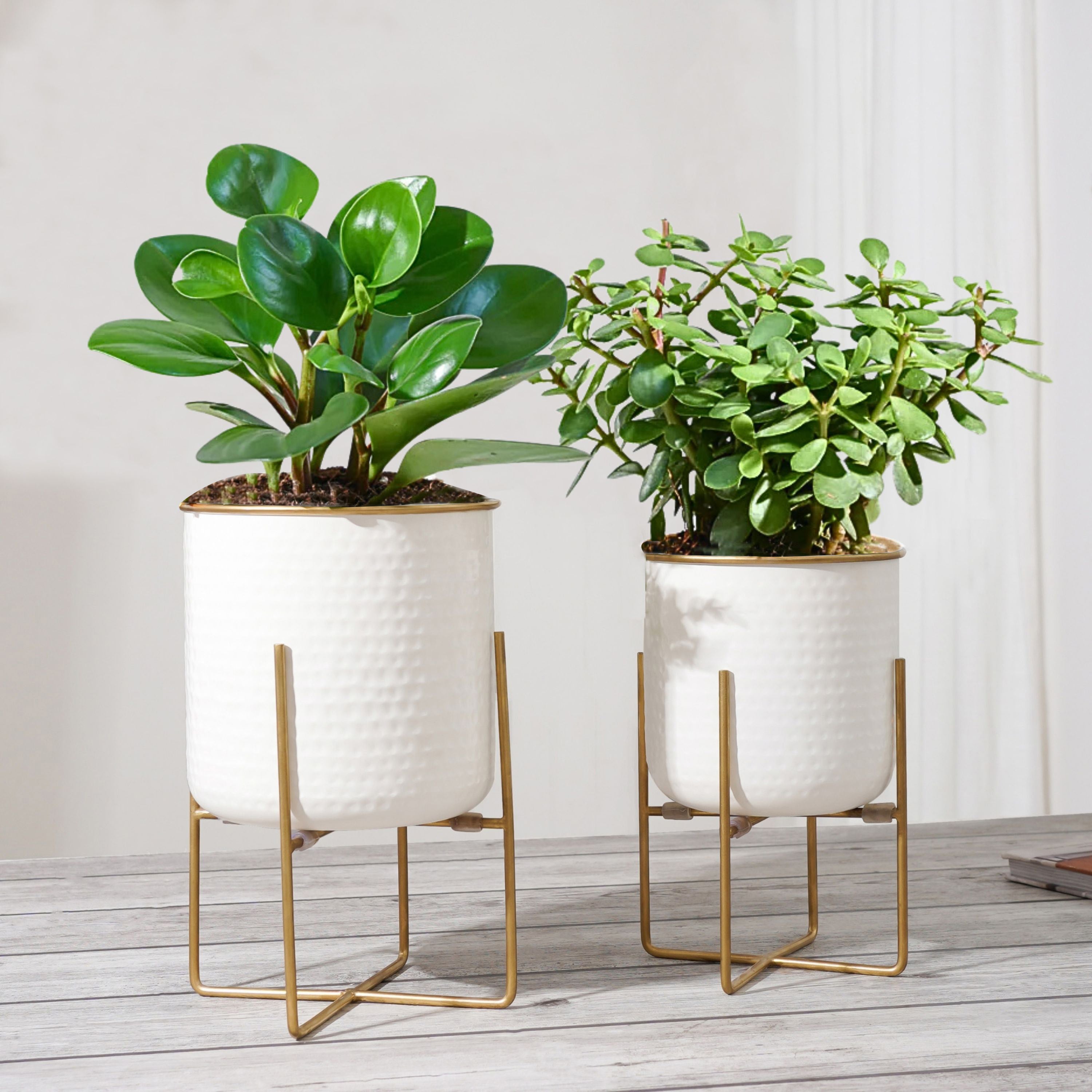 Hammered Planter Set