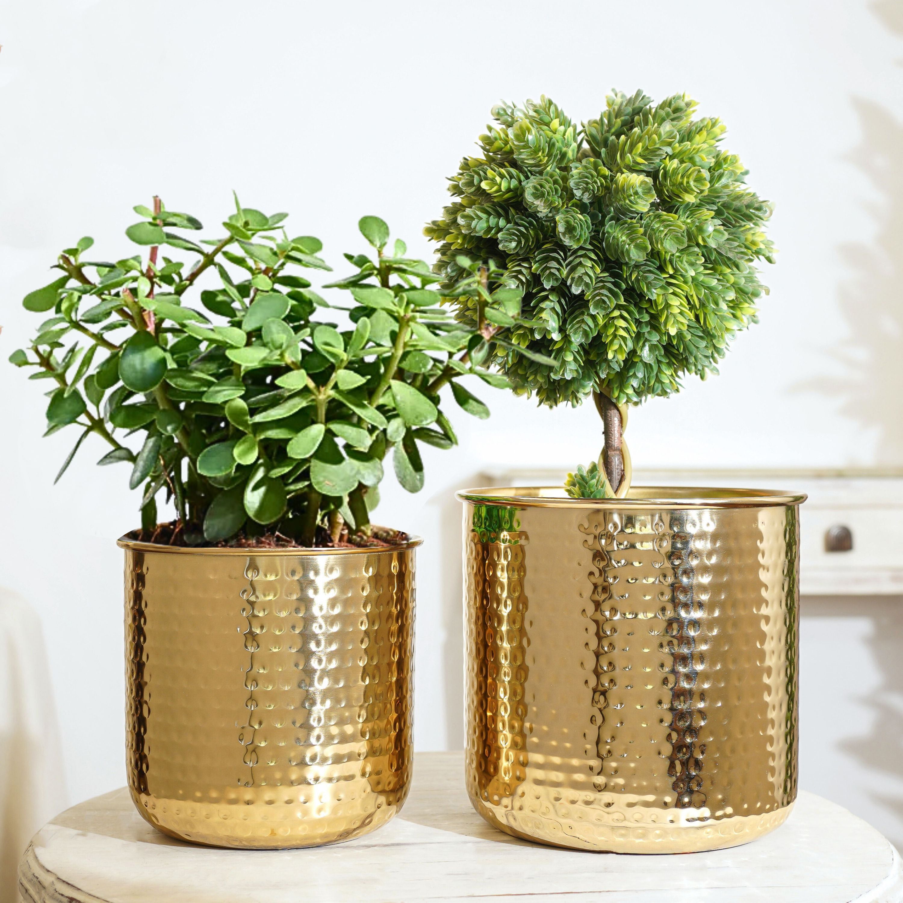 Hammered Metal Planter, Set (Pot Only)