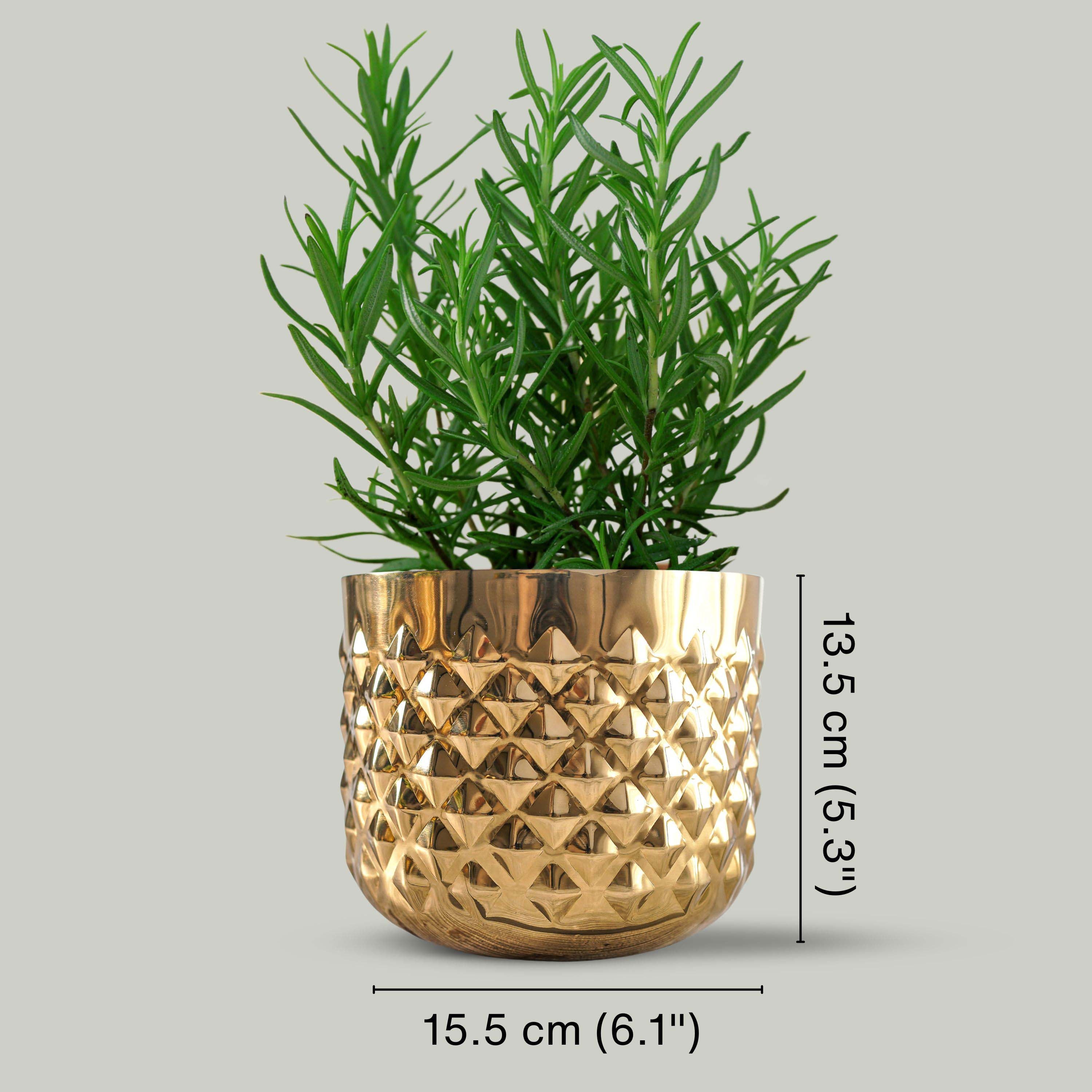 Pineapple Metal Planter, Gold (Pot Only)