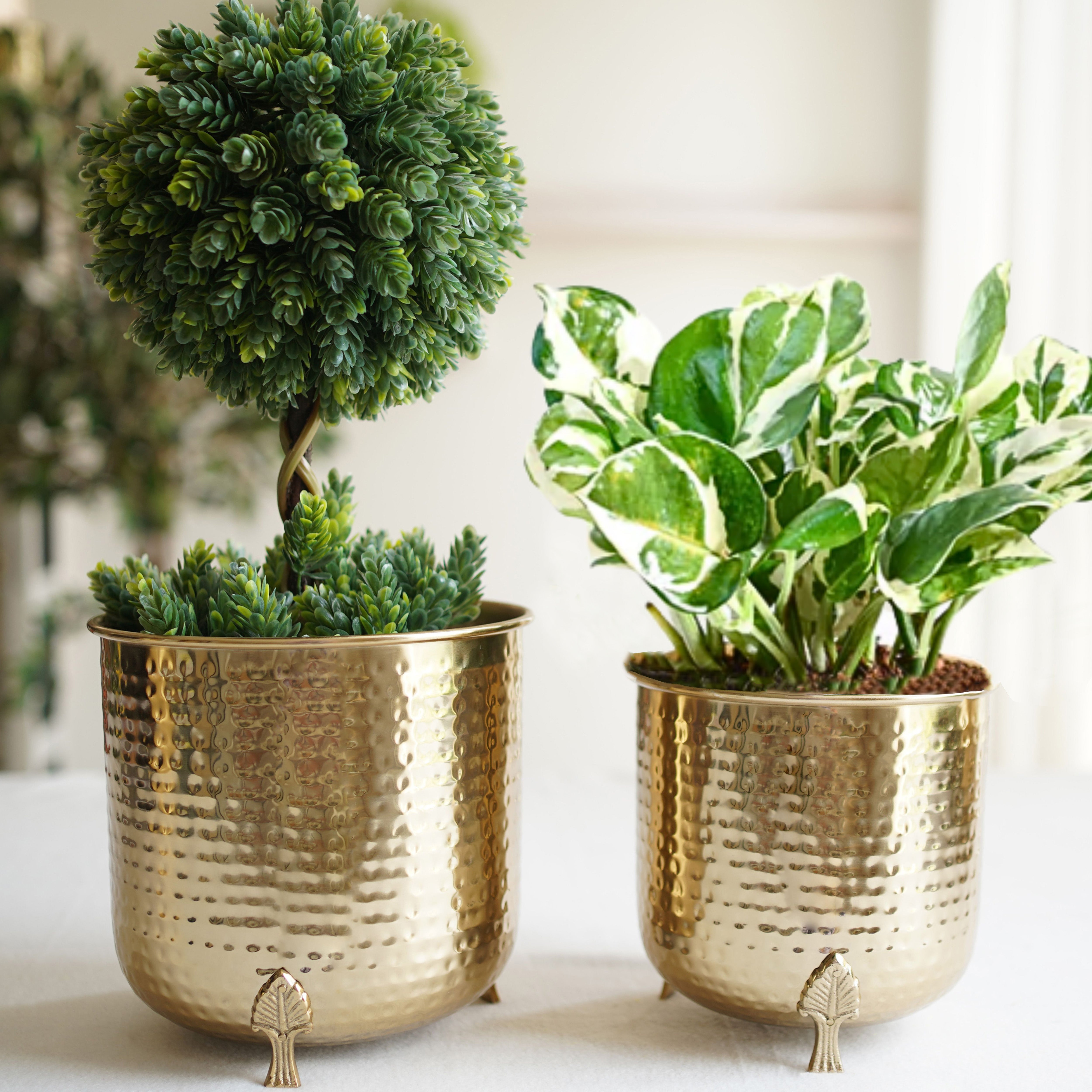 Hammered Planter Leaf leg, Iron, Set of 2, Gold, 6"+ 7.25" - Behoma