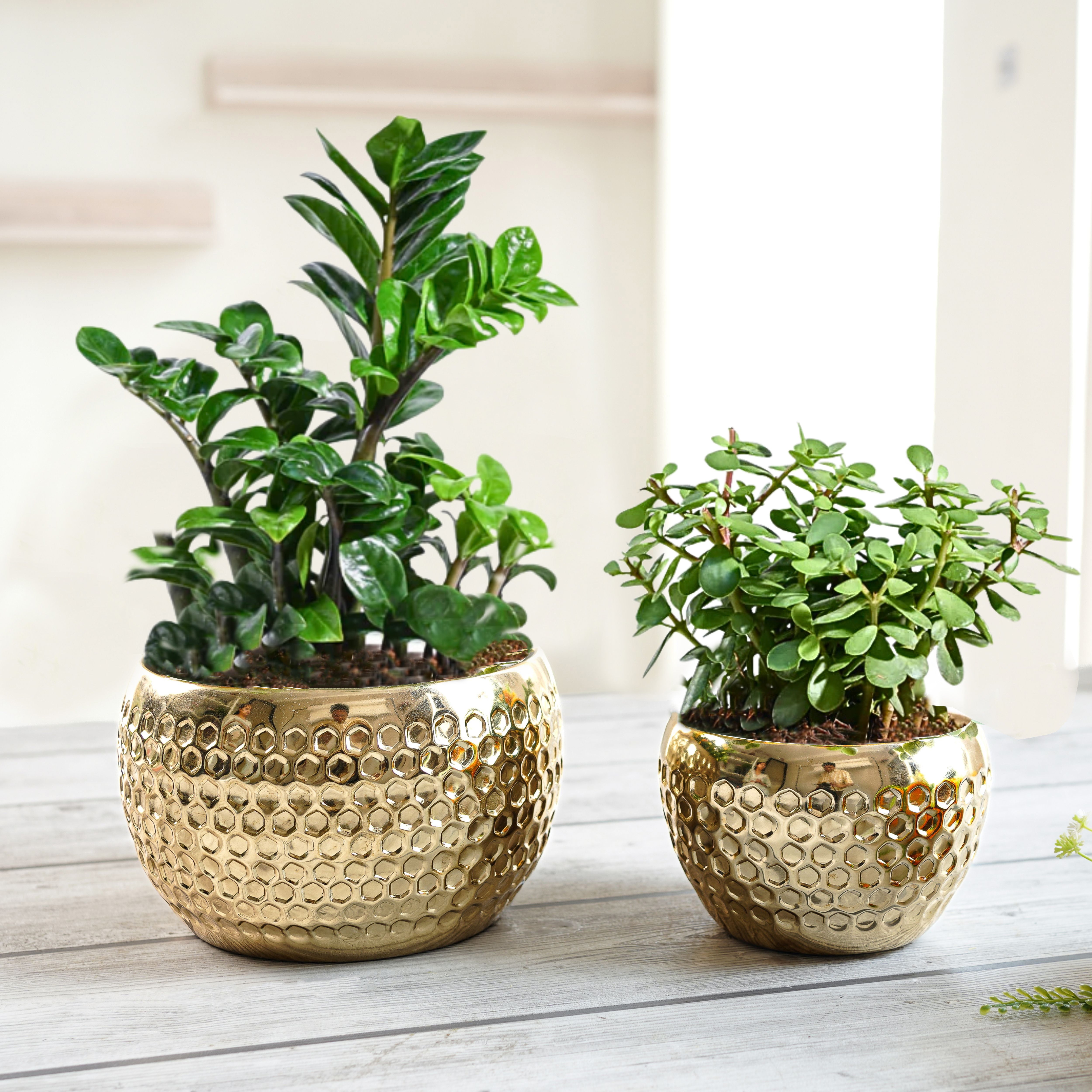 Honeycomb Metal Planter, Set - Behoma