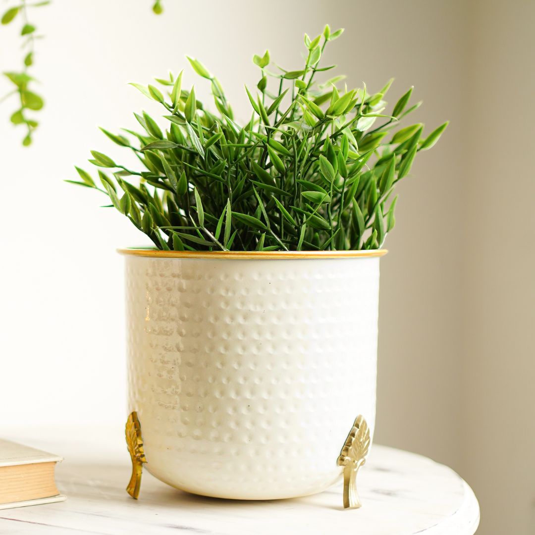 Gold Rim Leaf leg Metal Planter - Behoma