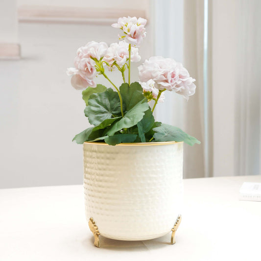 Gold Rim Leaf leg Metal Planter, Large - Behoma