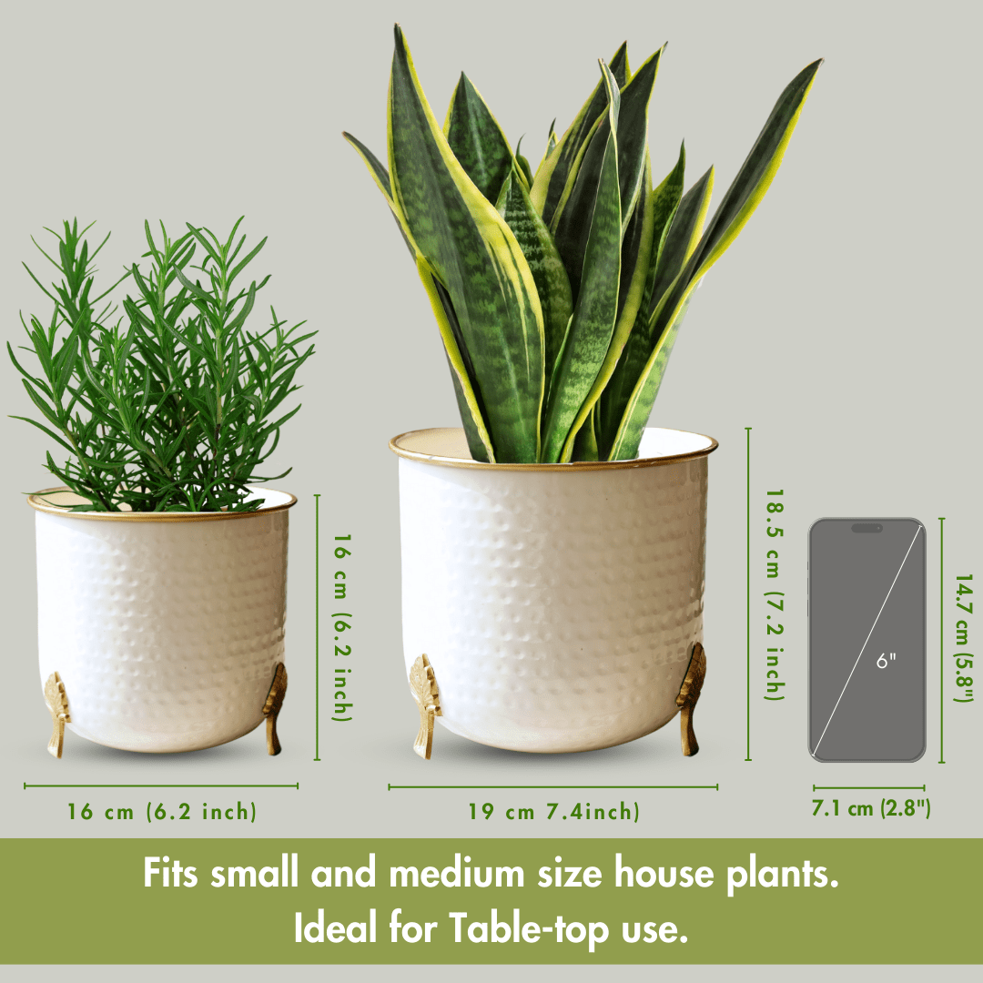 Metal Hammered Gold Rim Leaf leg Planter, White, Set of 2 - 6''X 7'' - Behoma