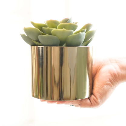 Mini Table-top Metal Planter, Set (Pot Only)