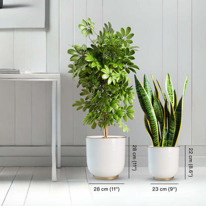 Floor Metal Planter, Set (Pot Only)