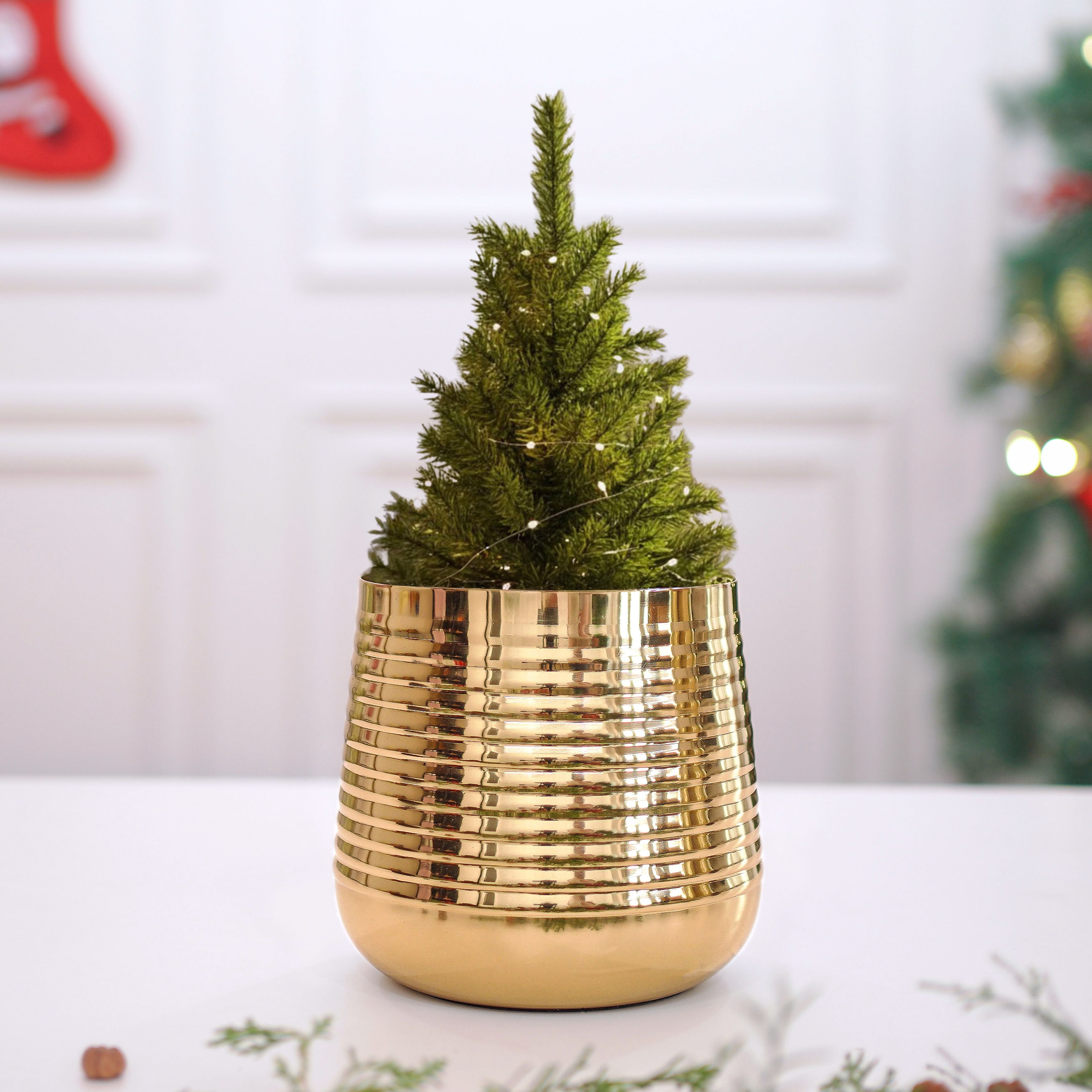 Ribbed Metal Planter, Small (Pot Only)