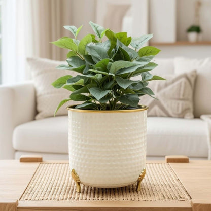 Gold Rim Leaf leg Metal Planter, Large (Pot Only)