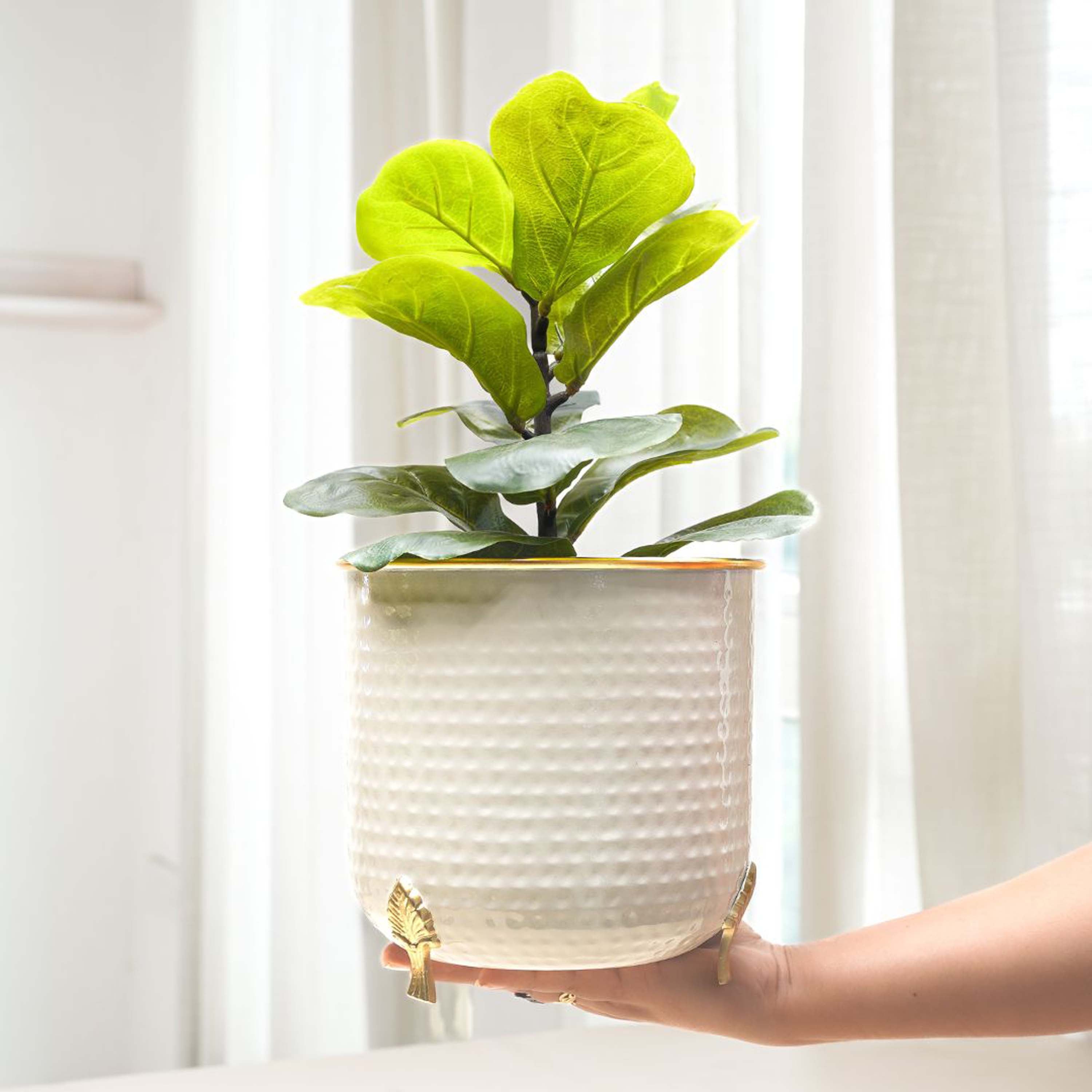 Gold Rim Leaf leg Metal Planter, Large (Pot Only)