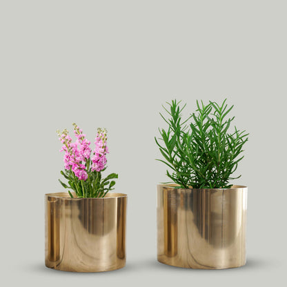 Mini Table-top Metal Planter, Set (Pot Only)