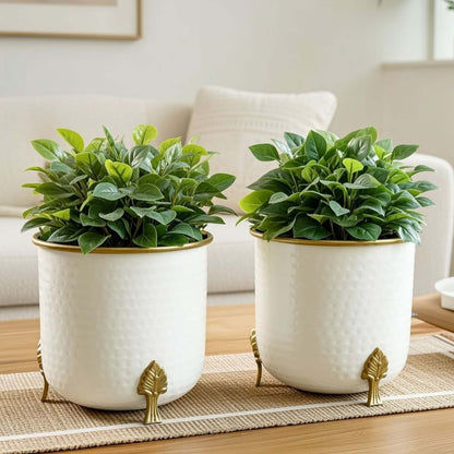 Metal Gold Rim Leaf leg Planter, Set (Pot Only)