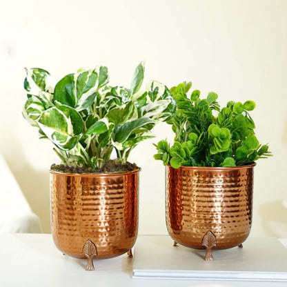 Leaf Leg Planter Set, Copper (Pot Only)