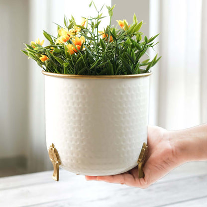 Metal Gold Rim Leaf leg Planter, Set (Pot Only)