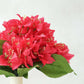 Bougainvillea Bouquet, Pink (Faux Flowers)