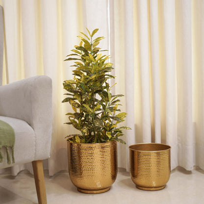 Hammered Floor Planter Set, Gold
