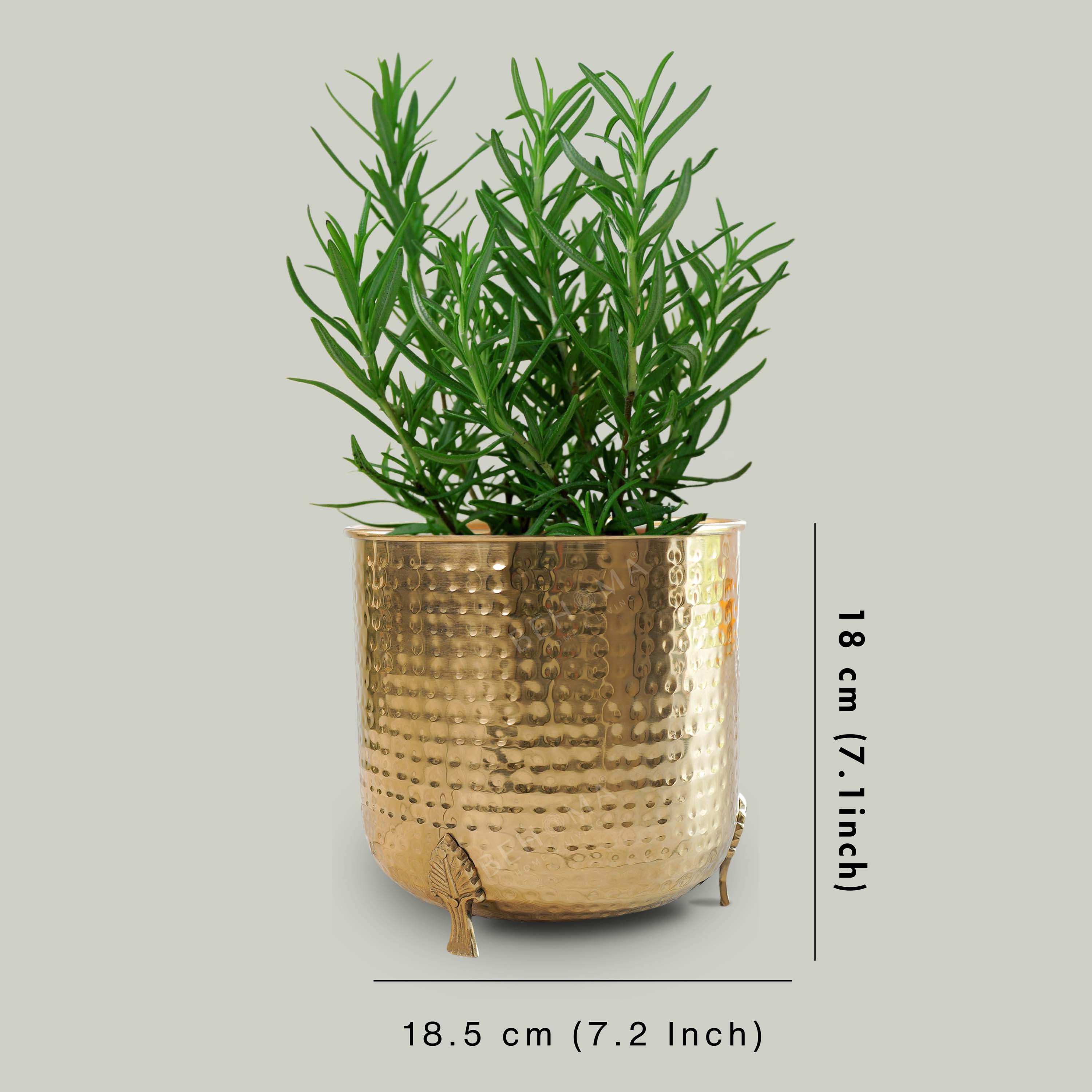 Leaf leg Metal Planter, Large (Pot Only)