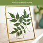 Floating frame, glass photo frame, gifts for her, anniversary gifts, gifts for mom