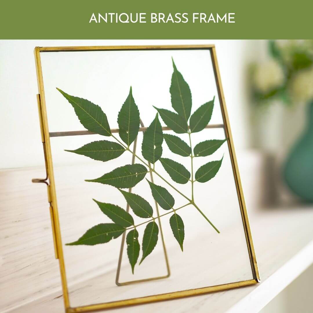Floating frame, glass photo frame, gifts for her, anniversary gifts, gifts for mom