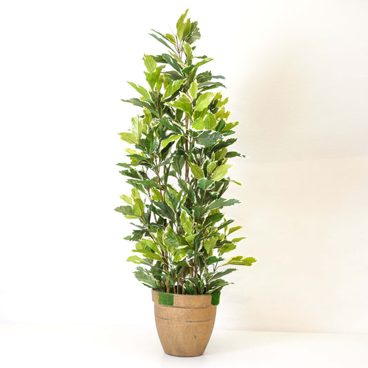 Ficus Harmony, Artificial Plant