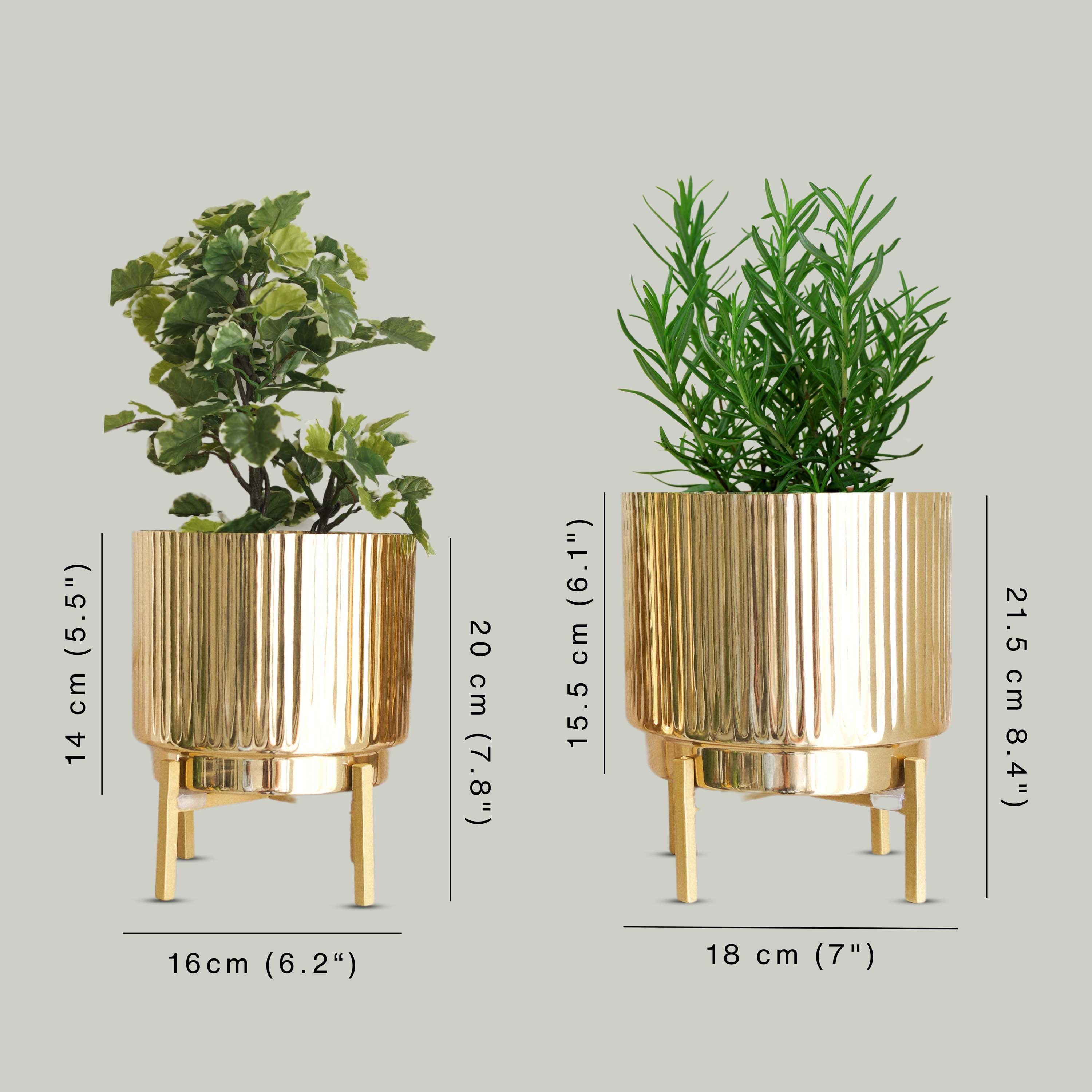 Metal Fluted Planter, Set (Planter Only)