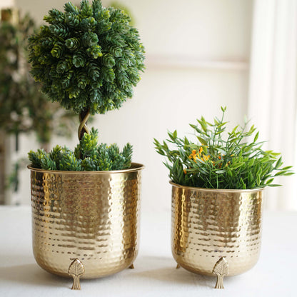 Leaf leg Metal Planter, Set (Pot Only)