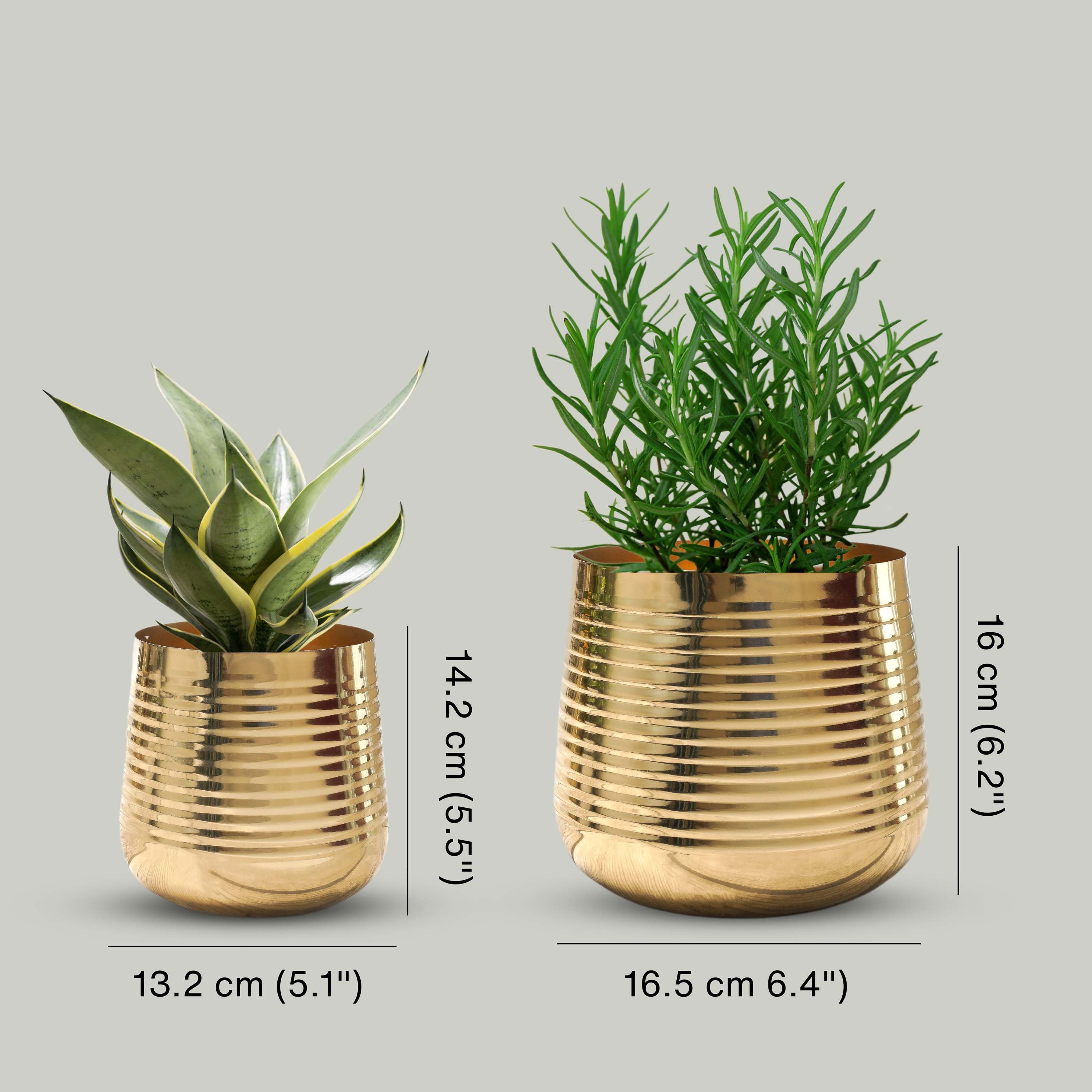 Ribbed Metal Planter Set (Pot Only)