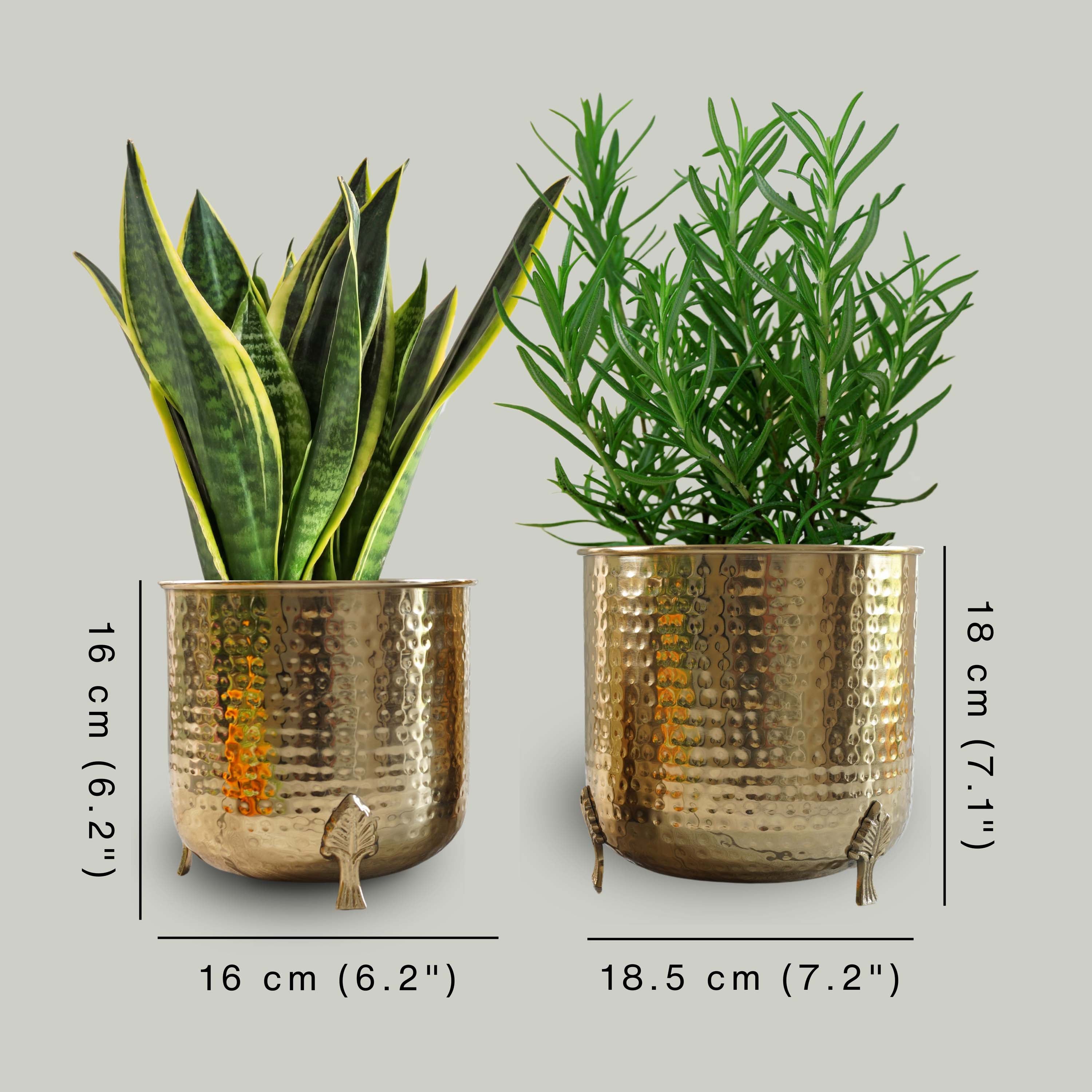 Leaf leg Metal Planter, Set (Pot Only)