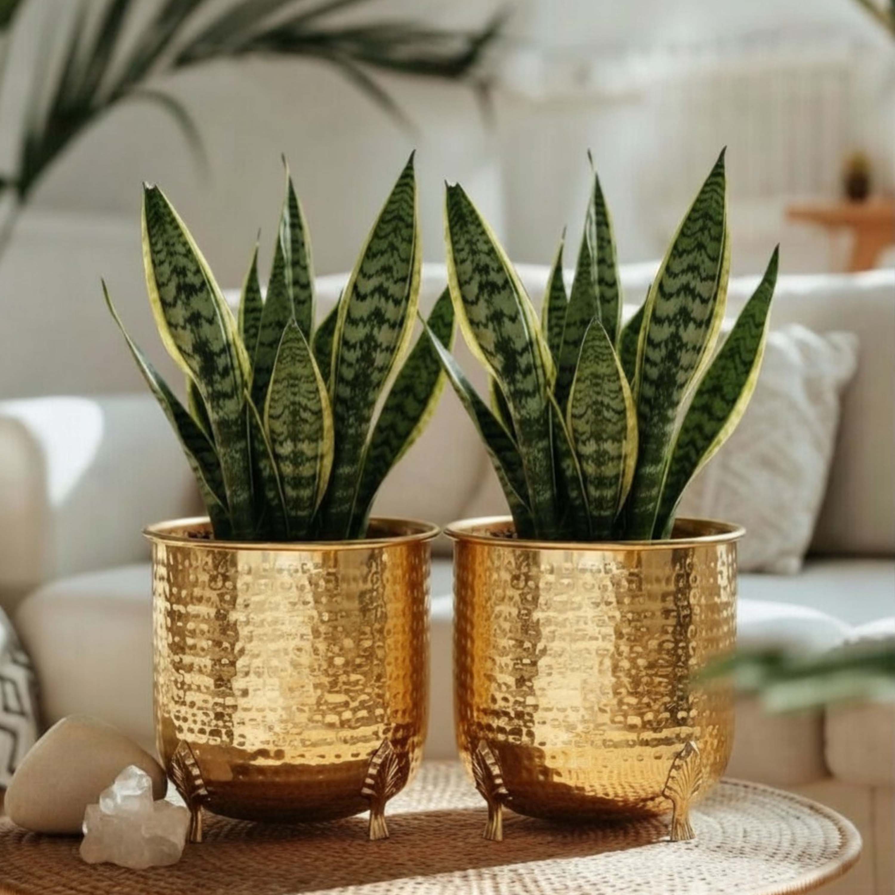 Leaf Leg Metal Planter, Set (Pot Only)