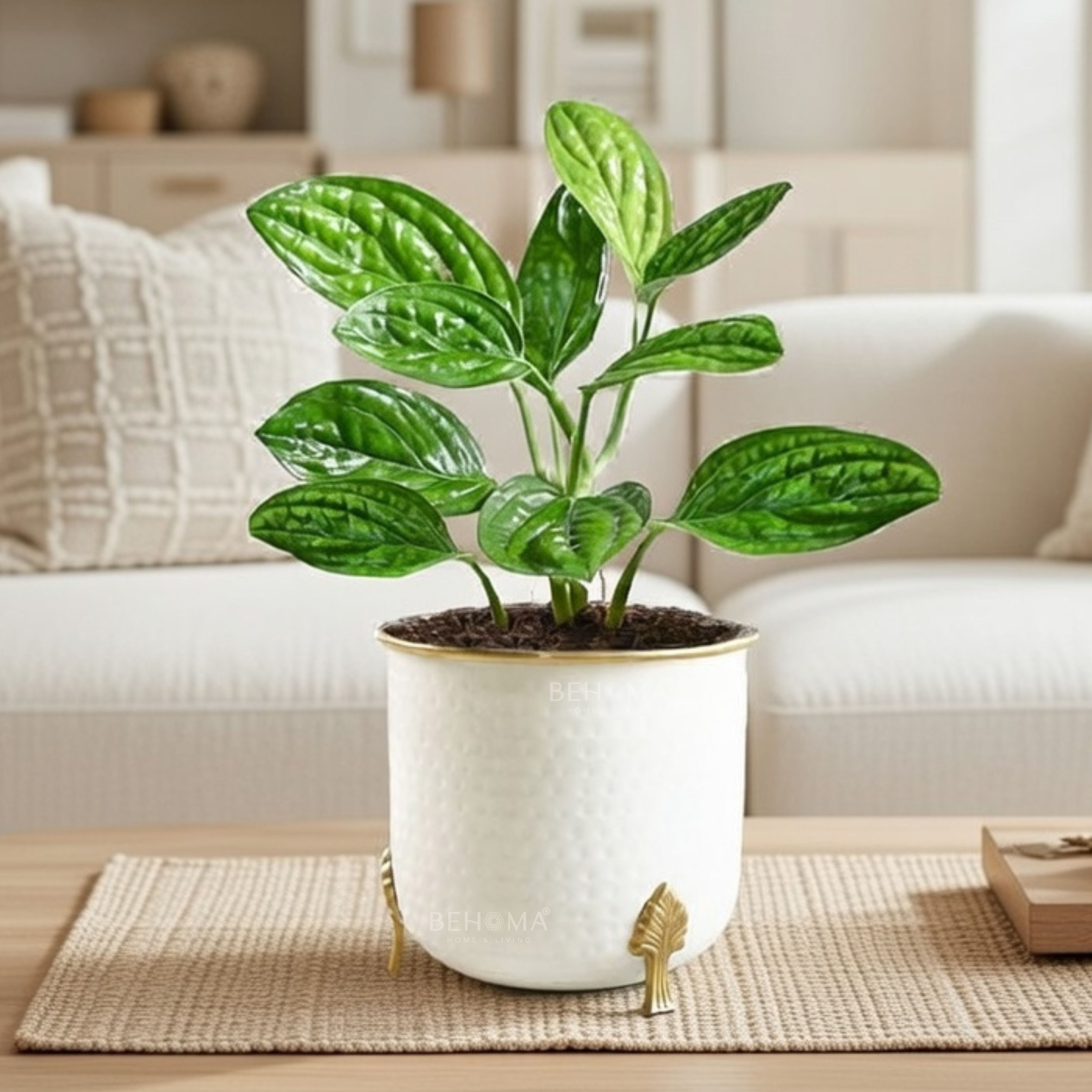 Gold Rim Leaf leg Metal Planter (Pot Only)