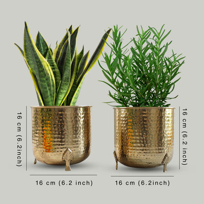 Leaf Leg Metal Planter, Set (Pot Only)