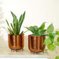 Leaf Leg Planter Set, Copper