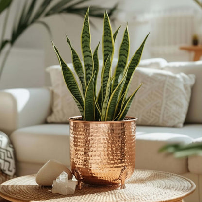 Leaf leg Metal Planter (Pot Only)