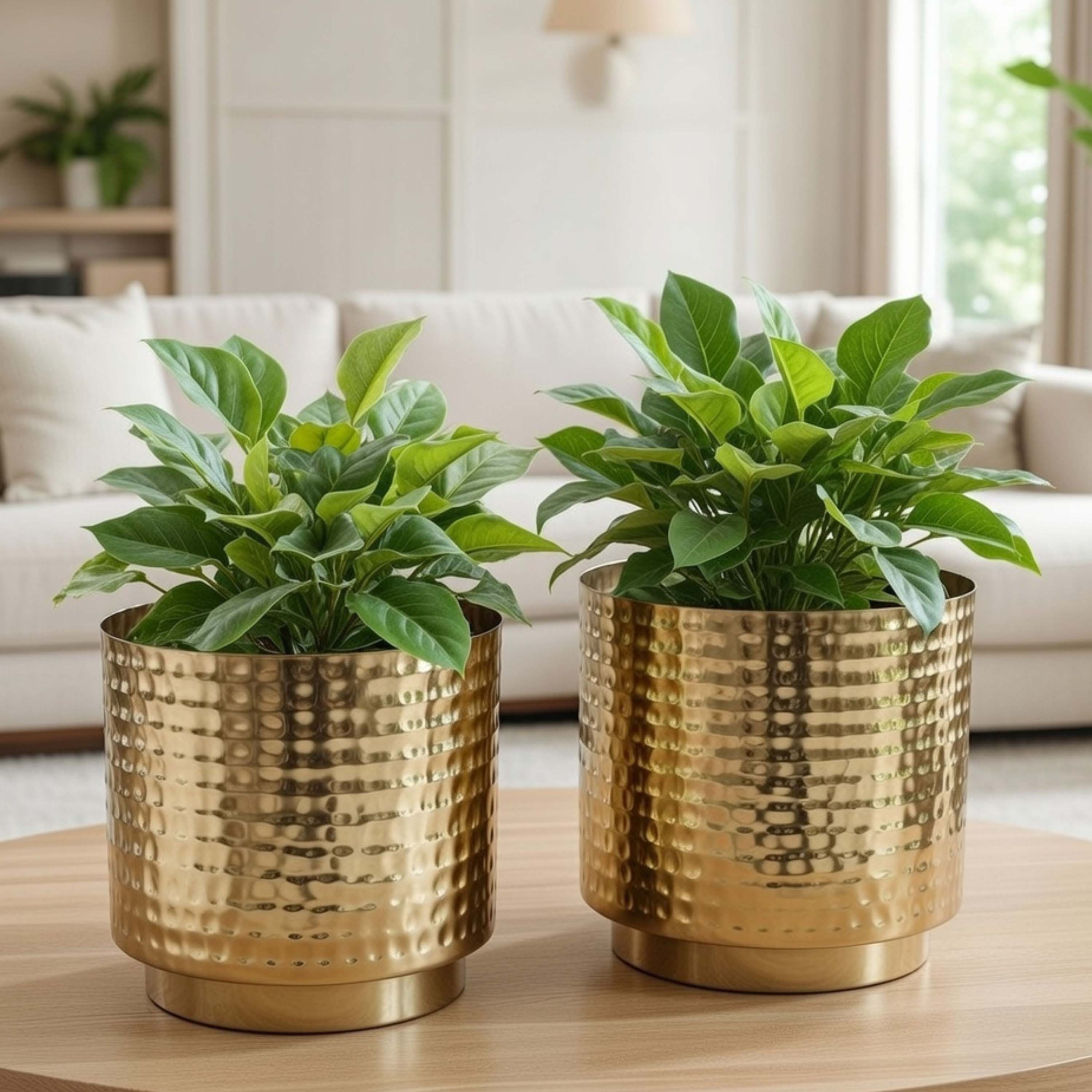 Table-top Metal Planter Set of 2 (Pot Only)