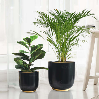 Floor Metal Planters, Set (Pot Only)